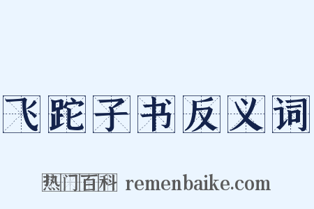 飞跎子书反义词是什么意思的图片
